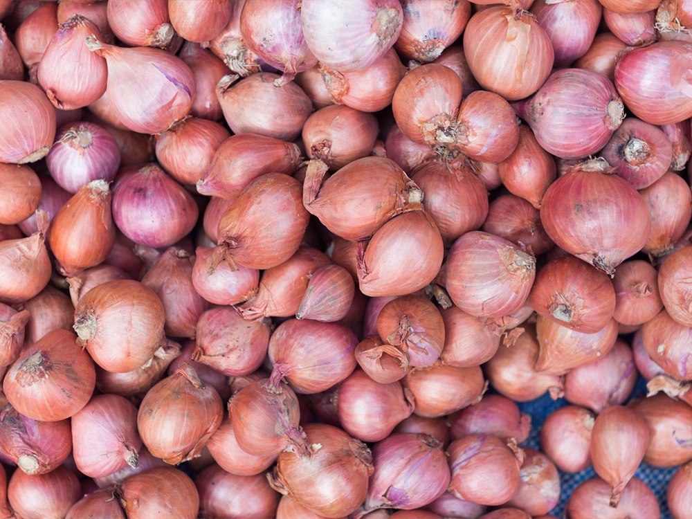 Onions
